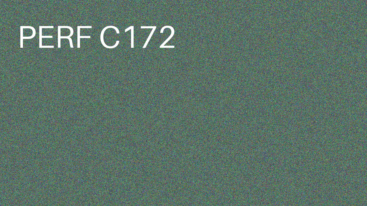 Perf Course 172 C172